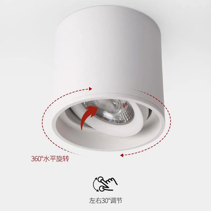 Ceiling Spot Lights Housenord
