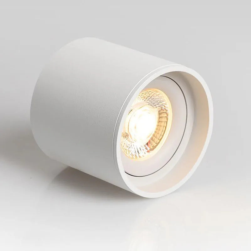 Ceiling Spot Lights