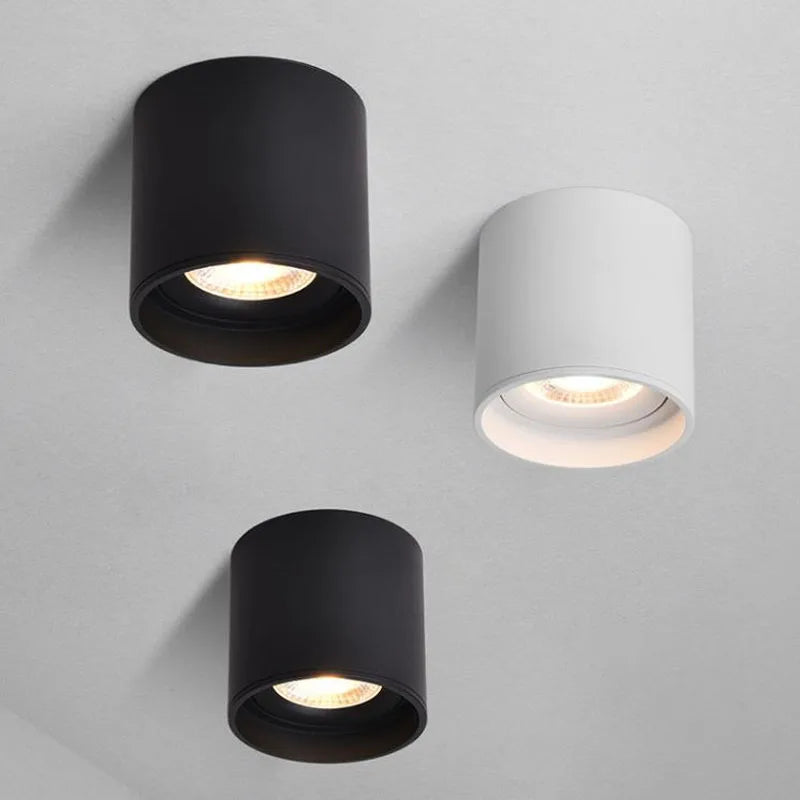 Ceiling Spot Lights