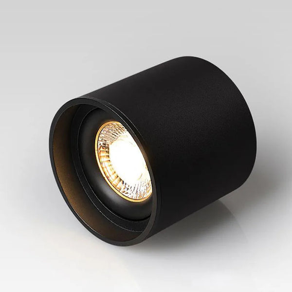 Ceiling Spot Lights