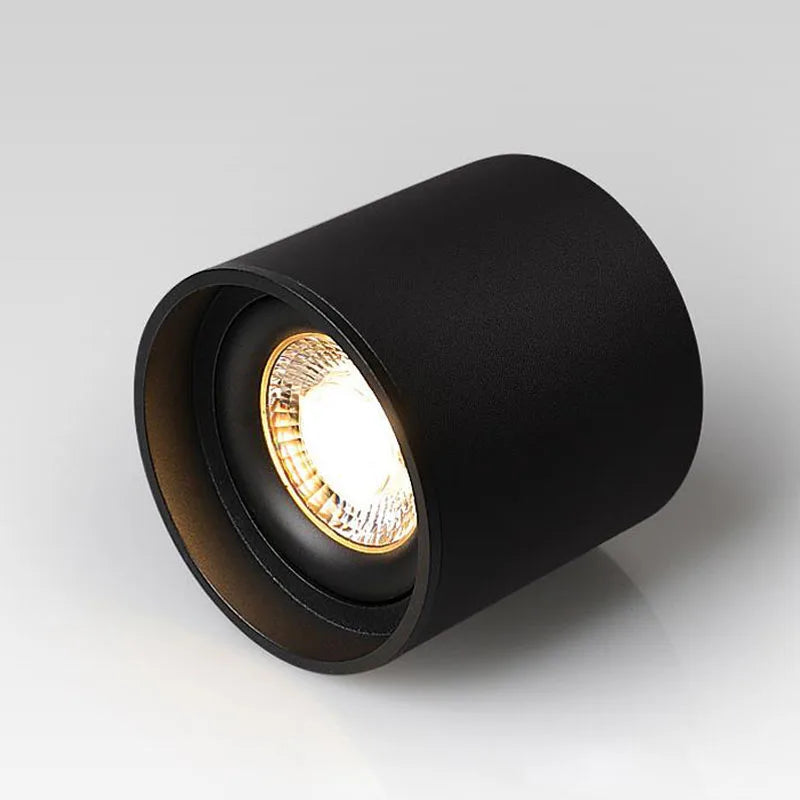 Ceiling Spot Lights