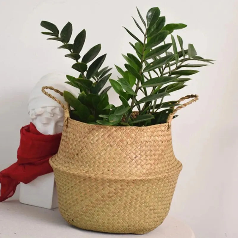 Basket Plant Flower Pot Housenord