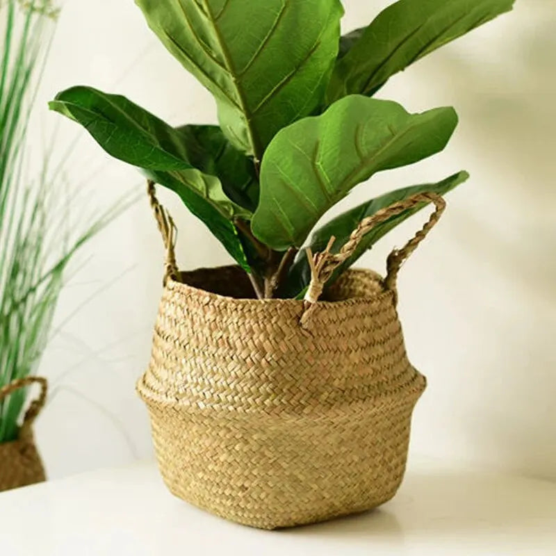 Basket Plant Flower Pot Housenord