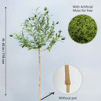 Artificial Olive Plant tree