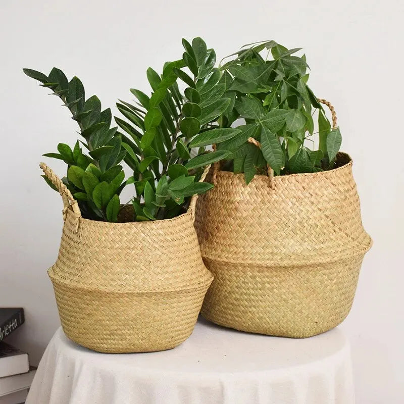 Basket Plant Flower Pot Housenord